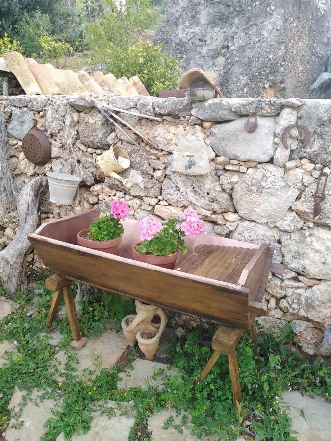 Il Corbezzolo Suite Appartament Castelluzzo Eksteriør billede