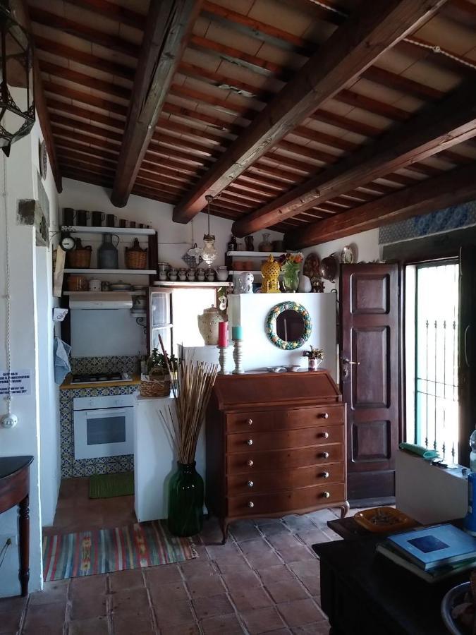 Il Corbezzolo Suite Appartament Castelluzzo Eksteriør billede